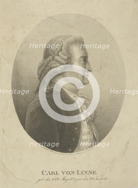 Portrait of Carl Linnaeus (1707-1778), c. 1800. Creator: Kunike, Adolph Friedrich (1777-1838).