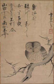 Owl, 1630-1640. Creator: Bensaku Tsuda (Japanese).