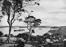 'Sydney Harbour, from Cremorne Point, c1900. Creator: Unknown.