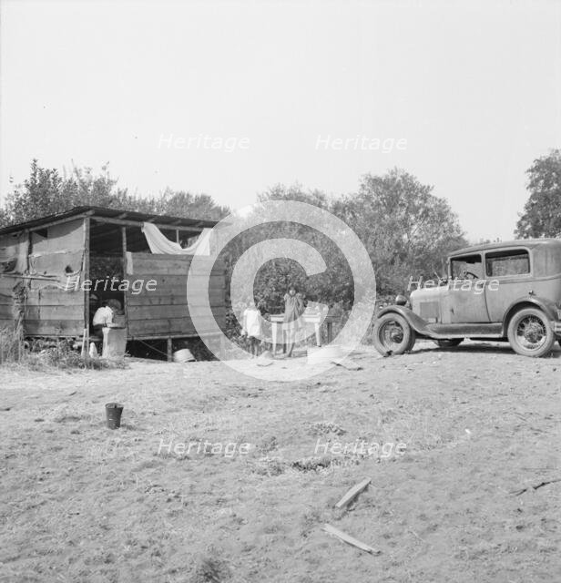 Grower provides fourteen such shacks..., near Grants Pass, Josephine County, Oregon, 1939. Creator: Dorothea Lange.