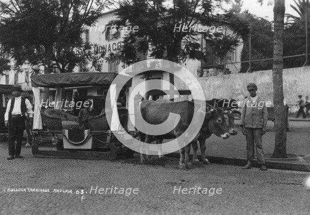 Bullock carriage, Madeira, Portugal, c1920s-c1930s(?). Artist: Unknown