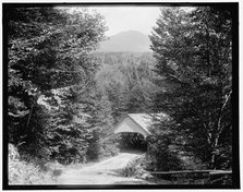 On the road to the flume, Franconia Notch, White Mountains, c1900. Creator: Unknown.