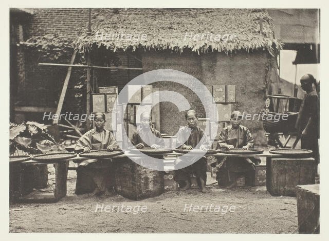 Tea-Picking in Canton, c. 1868. Creator: John Thomson.