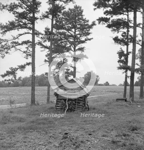 Henhouse on Negro tobacco farm, Person County, North Carolina, 1939. Creator: Dorothea Lange.