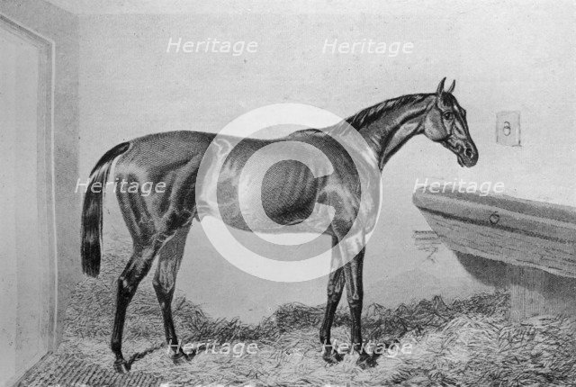 'Saucebox', c1840-1880, (1911). Artist: Unknown.