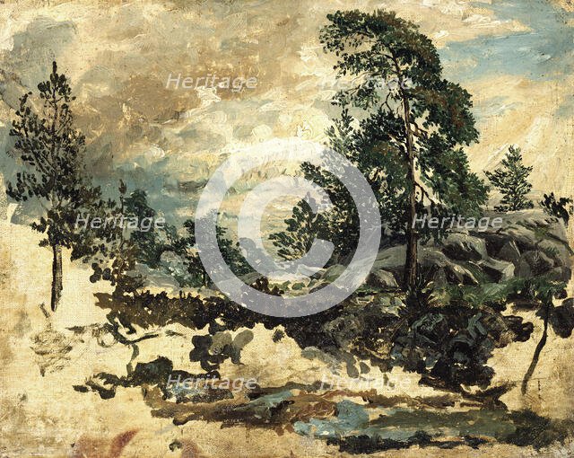 Study of Terrain, mid-19th century. Creator: Kilian Christoffer Zoll.