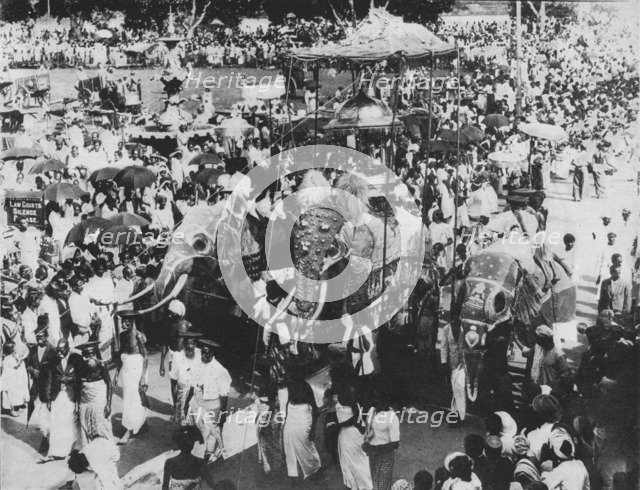 'Sacred Elephant in the Perahera Procession, Kandy, Ceylon', c1890, (1910). Artist: Alfred William Amandus Plate.
