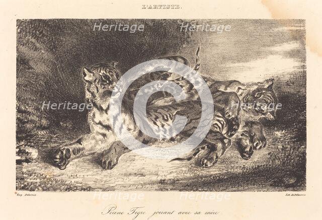 Young Tiger Playing with its Mother (Jeune tigre jouant avec sa mère), 1831. Creator: Eugene Delacroix.