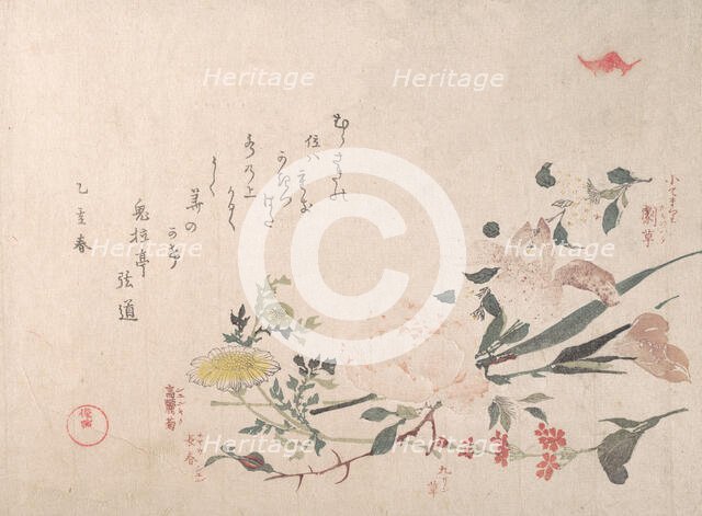 Rose, Iris, Primrose and Daisy, 1815. Creator: Kubo Shunman.