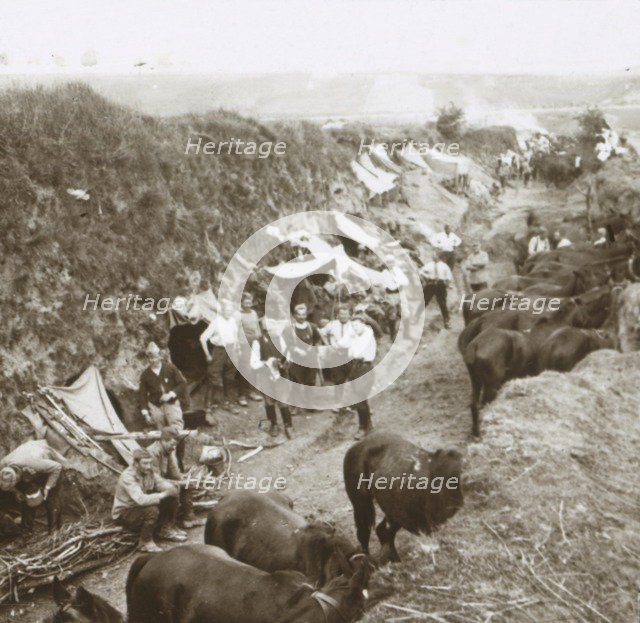 Cavalry, c1914-c1918. Artist: Unknown.