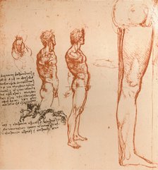 Drawings showing the movements of the human figure and warriors fighting, c1472-c1519 (1883). Artist: Leonardo da Vinci.