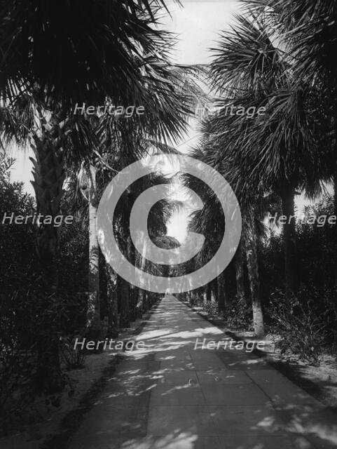 Palm Beach, Florida, Ocean Avenue, between 1880 and 1901. Creator: Unknown.