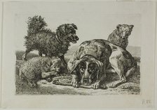 Four Dogs, from Die Zweite Thierfolge, 1799/1803. Creator: Johann Christian Reinhart.
