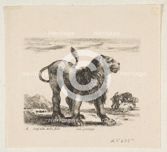 Plate 6: lion, from 'Various animals' (Diversi animali), ca. 1641. Creator: Stefano della Bella.