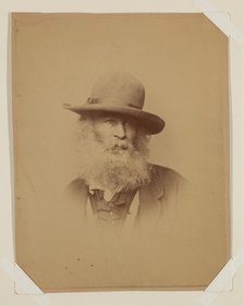 Walt Whitman, 1862. Creator: Alexander Gardner.