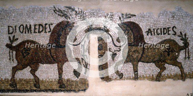Roman Mosaic of Horses, Diomeder and Aicides, 2nd-3rd century. Artist: Unknown.