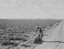 Mexican cantaloupe worker at 5:00 am, Imperial Valley, California, 1938. Creator: Dorothea Lange.