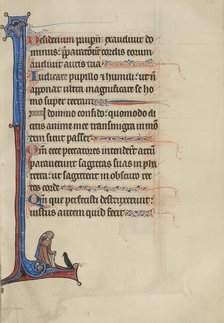 Initial I: A Man Looking at a Sparrow; Bute Psalter, text and illumination about 1285. Creator: Bute Master.