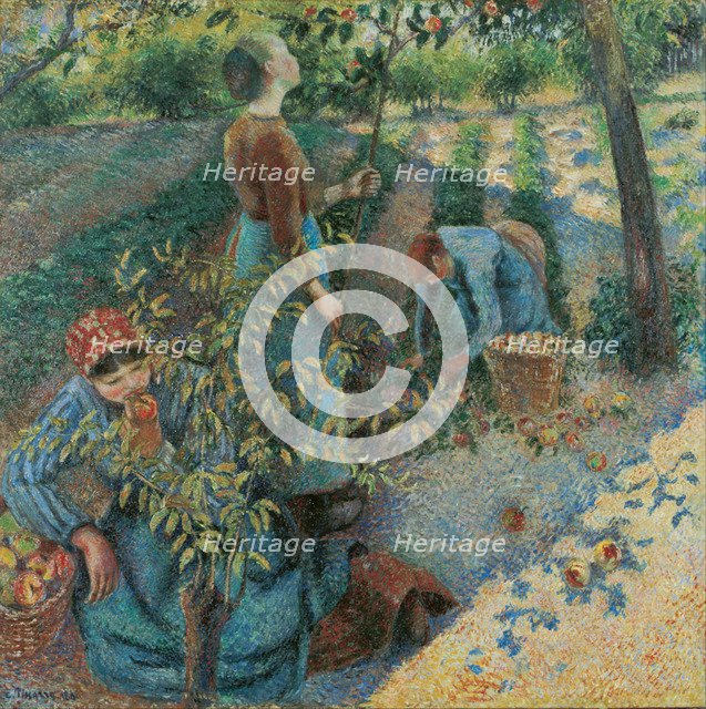 Apple Picking, 1886.