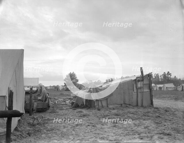 Camps of migrant pea workers, California, 1936. Creator: Dorothea Lange.