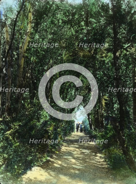 "Hickory Hill," Colonel Henry Taylor Wickham house, Ashland, Virginia, 1927. Creator: Frances Benjamin Johnston.