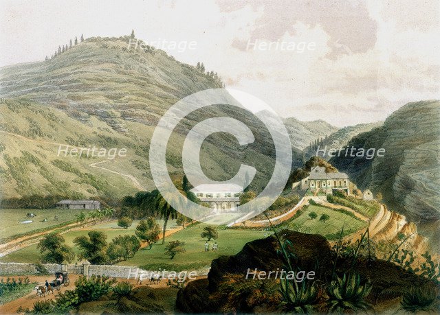 The Briars, St Helena, early 19th century (1851). Artist: Unknown