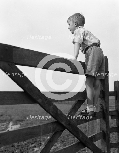 Child standing on a gate, 1963. Artist: Michael Walters