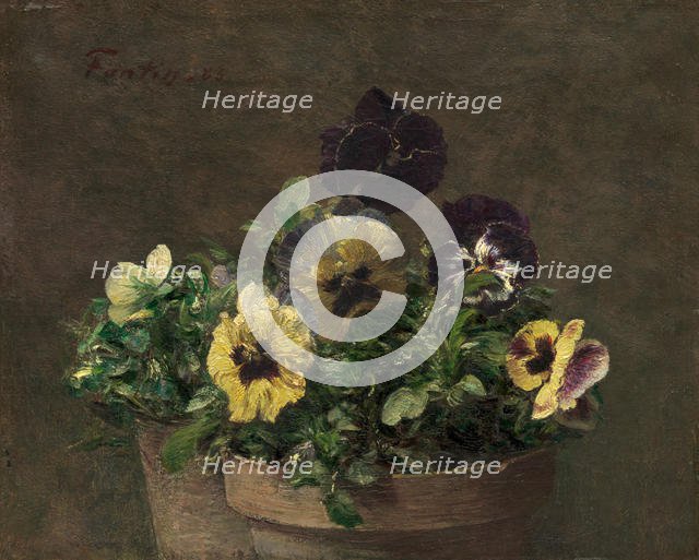 Potted Pansies, 1883. Creator: Henri Fantin-Latour.