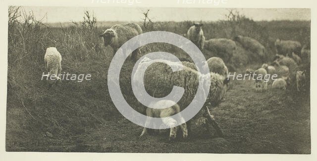 A March Pastoral (Suffolk), c. 1883/87, printed 1888. Creator: Peter Henry Emerson.
