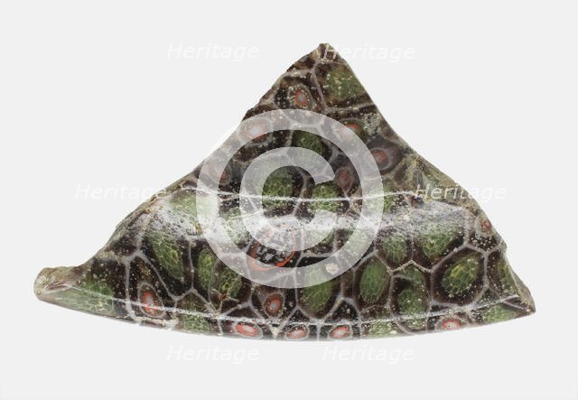 Fragment of a Cup, 1st century BCE-1st century CE. Creator: Unknown.