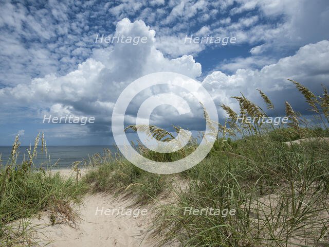 A Glorious Day. Creator: Eve Turek.