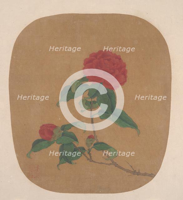 Camellia Flowers. Creator: Unknown.