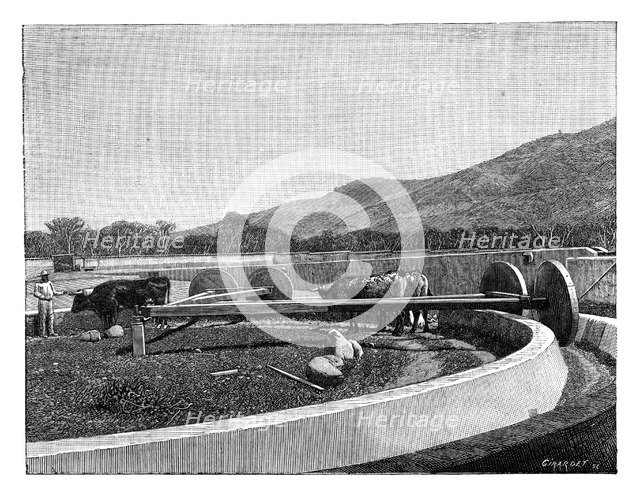 Mill for husking coffee, Central America, c1890. Artist: Unknown