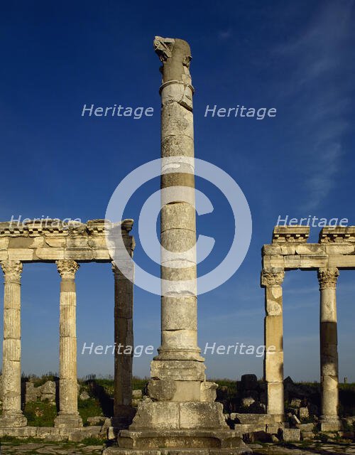 Monumental column and colonnade, Apamea, Syria, 2002. Creator: LTL.