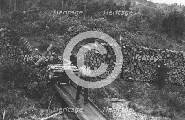 Wood chopper's station with fuel for steamers on the Upper Yukon, between c1900 and c1930. Creator: Unknown.