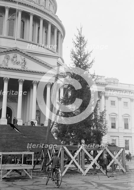 Christmas Trees - Christmas Tree At Capitol, 1913. Creator: Harris & Ewing.