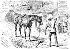 Advertisement for Elliman’s Universal Embrocation, 1890. Creator: William Stanfield Sturgess.