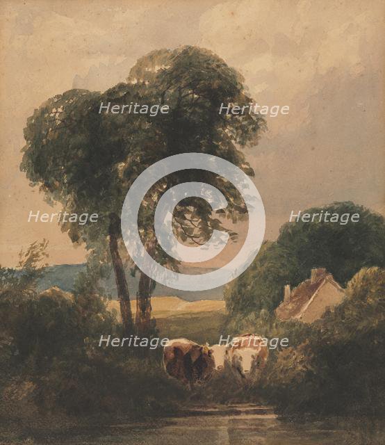 Welsh Landscape with Cattle. Creator: Peter De Wint (British, 1784-1849).