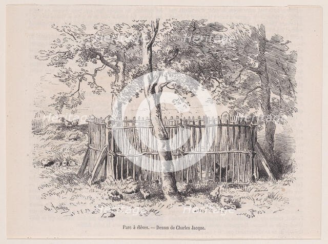 Parc à élèves; from Magasin Pittoresque, ca. 1852. Creator: Charles Emile Jacque.