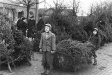 Selling Christmas trees in the square of Trelleborg, Sweden, 1950s. Artist: Unknown