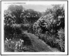 Garden walk, Sargent estate, Brookline, Mass., between 1900 and 1920. Creator: Unknown.