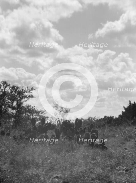 Travel views of the American Southwest, between 1899 and 1928. Creator: Arnold Genthe.