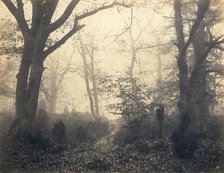 [Fontainebleau Forest], early 1860s. Creator: Eugène Cuvelier.