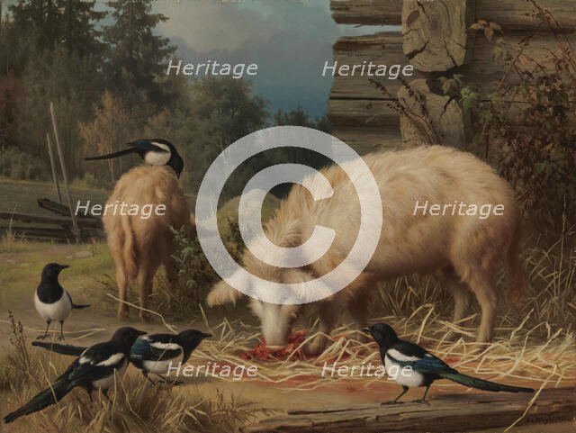 Pigs and Magpies, 1875. Creator: Ferdinand von Wright.