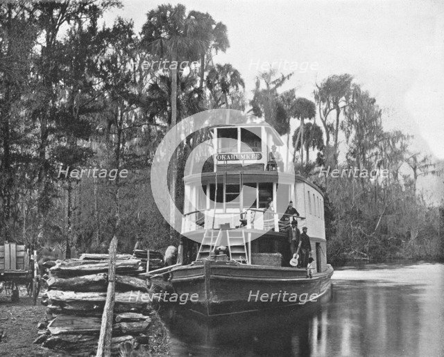 On the Ocklawaha River, Florida, USA, c1900. Creator: Unknown.