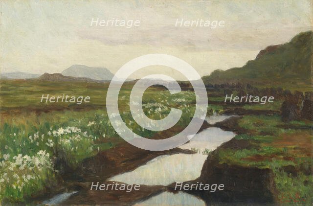 Study of a Peat Bog on Jaeren, c1897. Creator: Kitty Lange Kielland.