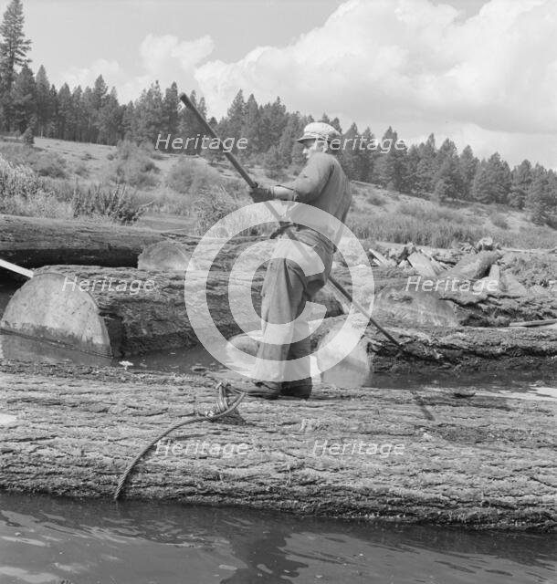 Pond monkey steers log raft in mill pond, Keno, Klamath County, Oregon, 1939. Creator: Dorothea Lange.