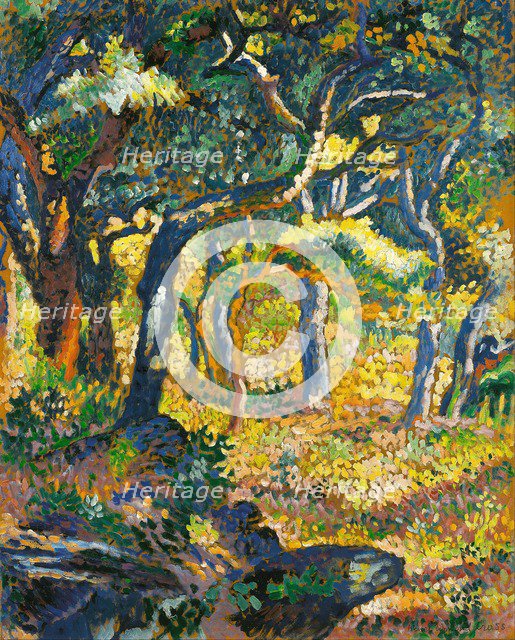 Clearing in Provence, c. 1906.