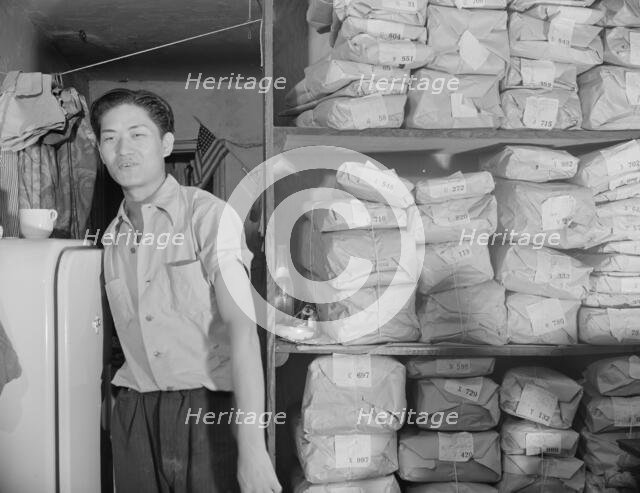Johnnie Lew, owner of the laundry under the apartment of Mrs. Ella Watson..., Washington, DC, 1942. Creator: Gordon Parks.