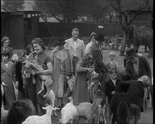 British People at the Zoo, 1940. Creator: British Pathe Ltd.